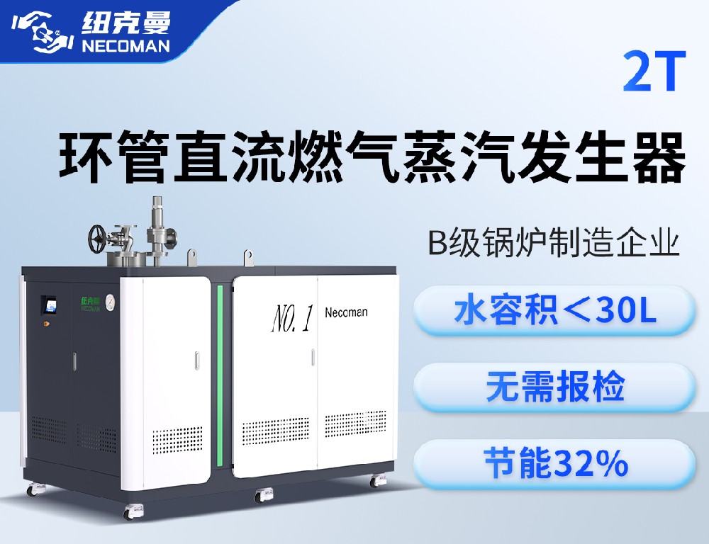 2.0噸 燃?xì)馊加驼羝l(fā)生器