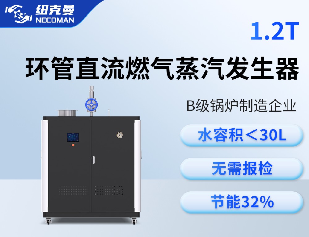 1.2噸 燃氣燃油蒸汽發(fā)生器